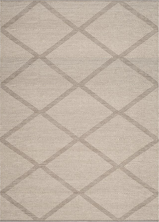 Safavieh Montauk MTK821 Grey Area Rug 4' X 6'