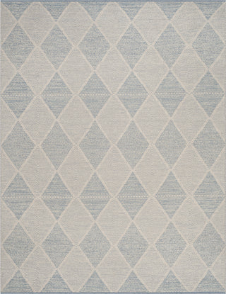 Safavieh Montauk MTK822 Light Blue Area Rug 8' X 10'