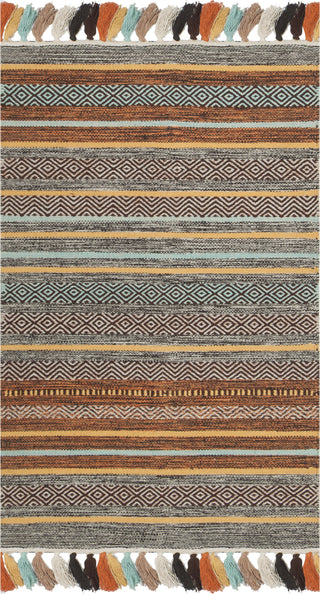 Safavieh Montauk MTK901 Turquoise/Brown Area Rug main image