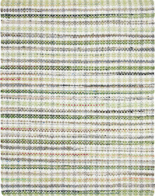 Safavieh Montauk MTK950 Green/Multi Area Rug 8' X 10'