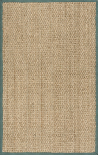 Safavieh Natural Fiber NF114M Natural/Light Blue Area Rug main image