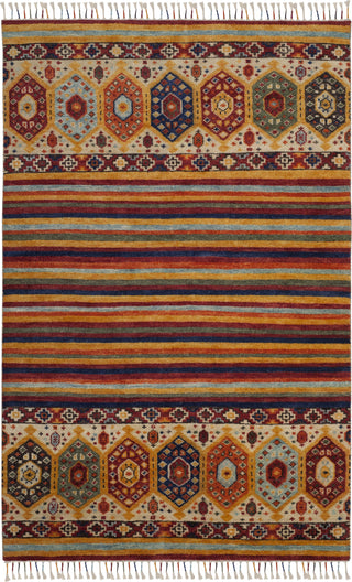 Safavieh Nomad NMD789 Multi Area Rug main image