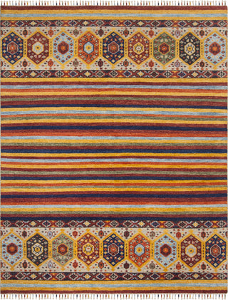 Safavieh Nomad NMD789 Multi Area Rug 8' X 10'