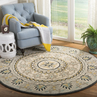 Safavieh Novelty 606 Ivory/Grey Area Rug Room Scene Feature