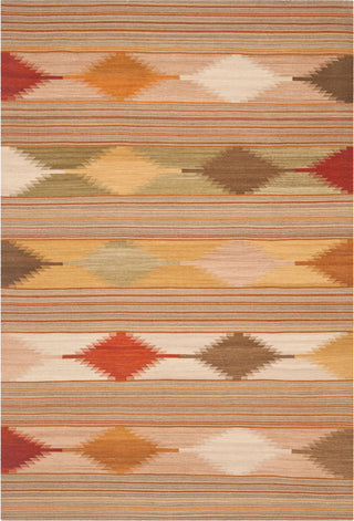 Safavieh Kilim NVK175 Natural/Multi Area Rug main image