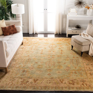 Safavieh Oushak OSH112 Soft Green/Rust Area Rug Room Scene Feature