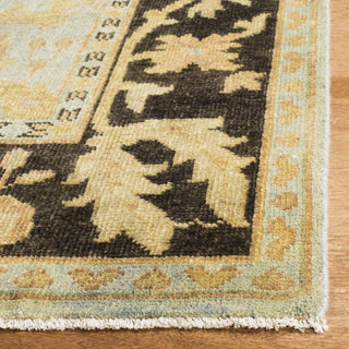 Safavieh Oushak OSH112 Light Blue/Brown Area Rug Detail