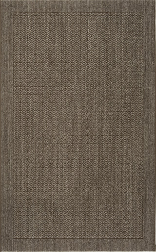 Safavieh Palm Beach PAB355D Silver Area Rug main image