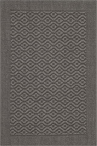 Safavieh Palm Beach PAB355E Ash Area Rug 