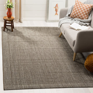 Safavieh Palm Beach PAB359D Silver Area Rug  Feature