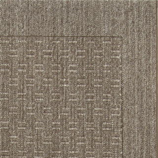 Safavieh Palm Beach PAB359D Silver Area Rug 