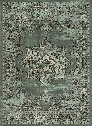 Safavieh Palazzo PAL124 Light Green/Black Area Rug 