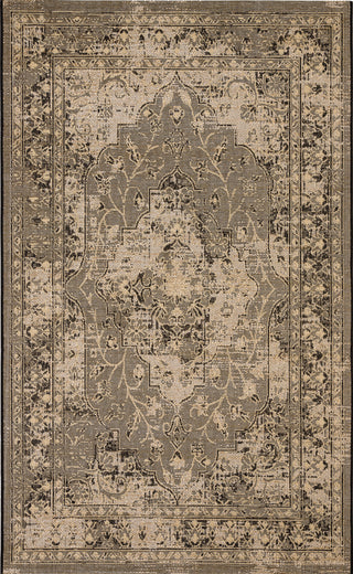 Safavieh Palazzo PAL128 Light Grey/Grey Area Rug 