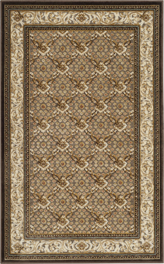 Safavieh Paradise PAR04 Dark Brown Area Rug 