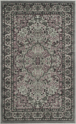 Safavieh Paradise PAR169 Light Grey/Spruce Area Rug 