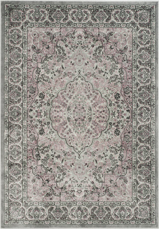 Safavieh Paradise PAR169 Light Grey/Spruce Area Rug main image