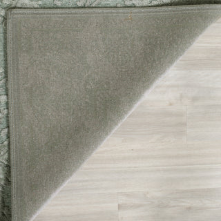 Safavieh Paradise PAR169 Light Grey/Spruce Area Rug 