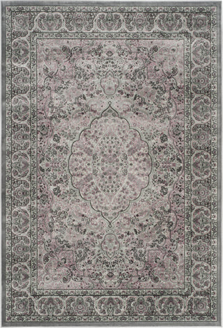 Safavieh Paradise PAR169 Light Grey/Spruce Area Rug 