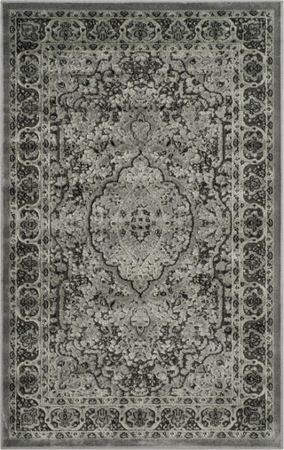 Safavieh Paradise PAR169 Light Grey/Anthracite Area Rug 