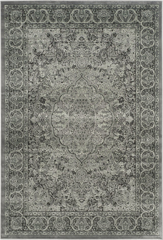 Safavieh Paradise PAR169 Light Grey/Anthracite Area Rug main image