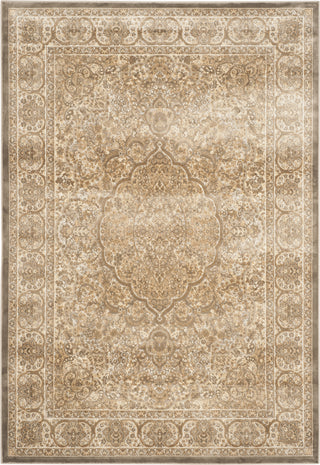 Safavieh Paradise PAR169 Mouse/Silver Area Rug main image