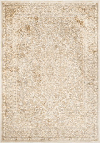 Safavieh Paradise PAR169 Stone/Cream Area Rug main image