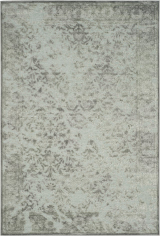 Safavieh Paradise PAR196 Light Grey/Spruce Area Rug main image