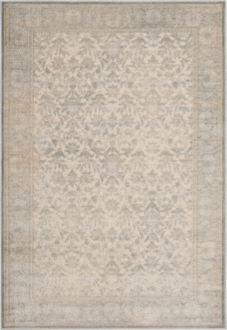 Safavieh Paradise PAR312 Cream/Slate Blue Area Rug main image