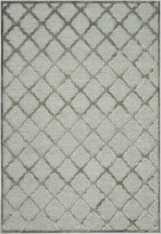 Safavieh Paradise PAR350 Grey/Spruce Area Rug main image