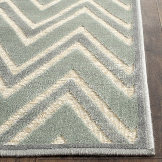 Safavieh Paradise PAR356 Grey/Multi Area Rug 