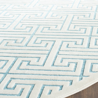 Safavieh Paradise PAR641A Ivory/Turquoise Area Rug 