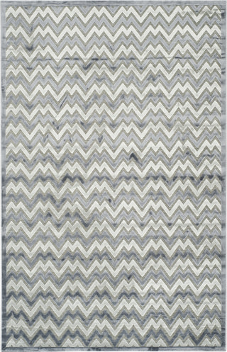 Safavieh Paradise PAR642B Light Grey/Dark Grey Area Rug main image