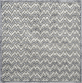 Safavieh Paradise PAR642B Light Grey/Dark Grey Area Rug 