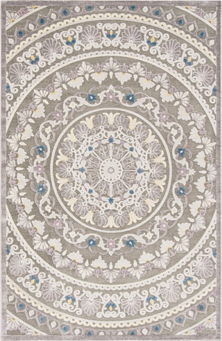 Safavieh Paradise PAR644B Grey/Light Grey Area Rug main image