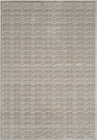 Safavieh Paradise PAR956B Silver Area Rug main image