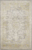 Safavieh Passion PAS402D Grey/Green Area Rug main image