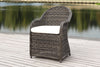 Safavieh Newton Wicker Arm Chair With Cushion Grey/Beige  Feature