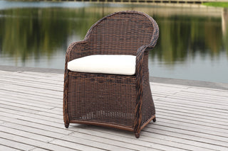 Safavieh Newton Wicker Arm Chair With Cushion Brown/Beige  Feature