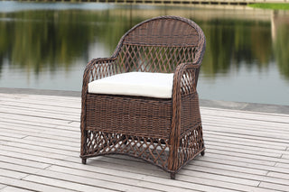 Safavieh Davies Wicker Arm Chair With Cushion Brown/Beige Furniture  Feature