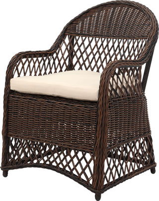 Safavieh Davies Wicker Arm Chair With Cushion Brown/Beige Furniture 