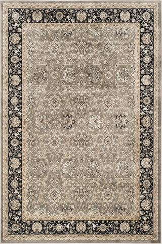 Safavieh Persian Garden PEG608P Grey/Black Area Rug main image