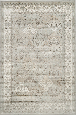 Safavieh Persian Garden PEG609W Silver/Ivory Area Rug main image