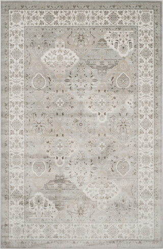 Safavieh Persian Garden PEG609W Silver/Ivory Area Rug 