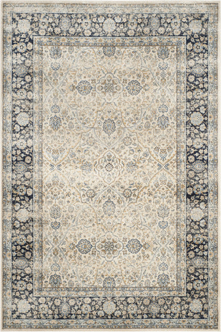 Safavieh Persian Garden Vintage PGV606D Ivory/Navy Area Rug main image