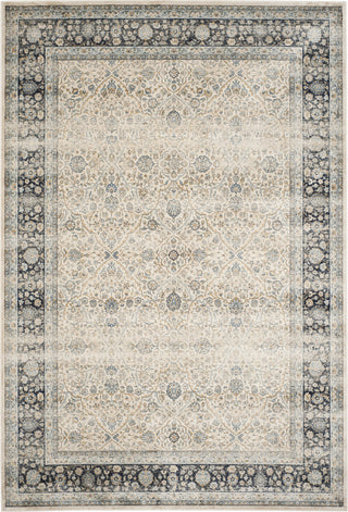 Safavieh Persian Garden Vintage PGV606D Ivory/Navy Area Rug 