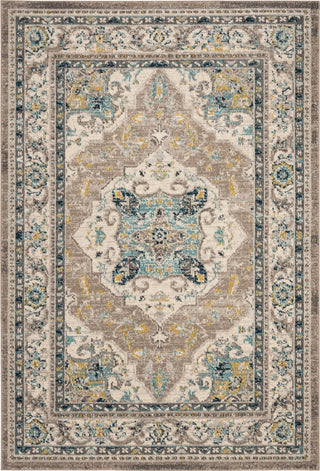 Safavieh Phoenix 100 PHX154F Ivory/Grey Area Rug main image