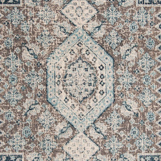 Safavieh Phoenix PHX155F Grey/Blue Area Rug 