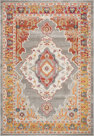 Safavieh Phoenix 100 PHX158T Orange/Grey Area Rug main image