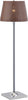 Safavieh Terzo 5925-Inch H Outdoor/Indoor Floor Lamp Chrome Mirror main image