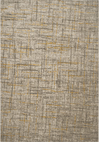 Safavieh Porcello PRL7680A Grey/Dark Grey Area Rug main image